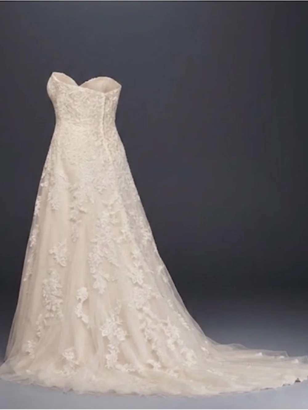 Strapless Lace A-Line Wedding Gown With Train in Ivory